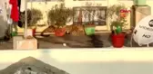 Hindistan'da bir evin çatısında uyuyan leopar yakalandı