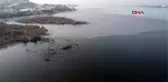 Ankara'da mogan gölü kısmen buz tuttu