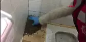 Uyuşturuyucu tuvalete dökemeden yakalandı