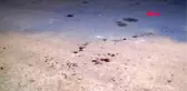 Burdur husumetli oldukları kişiyi bıçaklayan baba tutuklandı, oğlu serbest