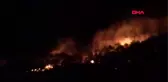 Adana'da orman yangını - 2