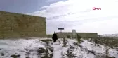 Buz tutan gölde sema gösterisi