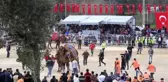 12. Selimiye Deve Güreşi Festivali düzenlendi