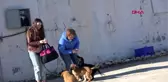 Antalya kış ortasında deniz keyfi