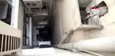 Paksoy kardeşlerden savcıya suç duyurusu