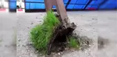 Mersin'de fırtına hayatı olumsuz etkiledi