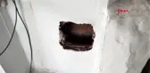 Osmaniye evin havalandırma boşluğuna düşen tavşanlar kurtarıldı