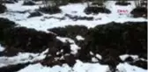Ordu heyelan nedeniyle 12 binanın tahliye edildiği mahallede, afad incelemesi