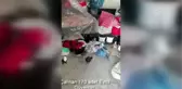 Güvercin hırsızları yakalandı