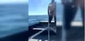 Marmara'da 2 kişi deniz polisince kurtarıldı