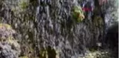 Muğla damla deresi'nde kartpostallık görüntü