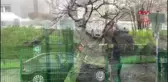 Sabine kasırgası, kuzey ve orta avrupa'yı etkisi altına aldı