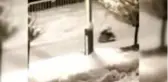 Saime Uğur torunlarıyla tepsi kullanarak kaymanın keyfini yaşadı