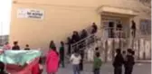 Öğrencilerin baktığı yavru köpekleri, Sahipsiz Sokak Hayvanları Derneği sahiplendi