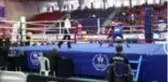 Genç Erkekler Türkiye Boks Şampiyonası