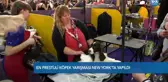 'En İyi Köpek' Olmak İçin Yarıştılar