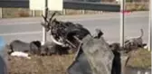 Çanakkale'de, otomobil ile motosiklet çarpıştı: 1 ölü, 2 yaralı