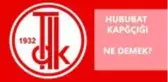 Hububat kapçığı ne demek? Kapçık ne demek? Hububat ne demek?