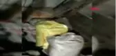 Manisa hayvanların korkusu adeta depremin habercisi oldu