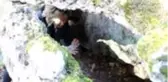 Ormanda yanlış yola giren üniversite öğrencisi, ağaçların arasında lahit buldu