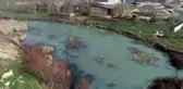 Teke Deresi'ndeki kirlilik araştırılıyor - KIRKLARELİ