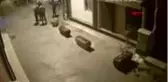 Gece kulübü işletmecisinin çalışanını dövülerek öldürdüğü görüntüler ortaya çıktı