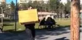 Seçim sandıkları kedilerin yuvası oldu
