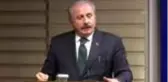 TBMM Başkanı Şentop, parlamenter sisteme dönülmesi tartışmalarını değerlendirdi (4)