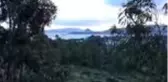 Bodrum'da şiddetli rüzgar hayatı olumsuz etkiliyor