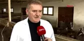 Adana litre fiyatı 150 lira olan eşek sütüne yoğun ilgi