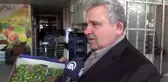 Antalya toptancı halinde yeşil eriğin kilosu 750 lira