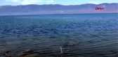 BURDUR Üniversitelilerden Burdur Gölü için farkındalık eylemi
