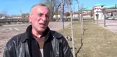 KÜTAHYA-Yaralı olarak bulunan köpek bakımevine teslim edildi