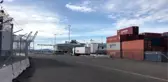 Kaliforniya açıklarındaki dev yolcu gemisinde koronavirüs vakası