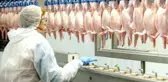 Şeker Piliç'in Bandırma'daki tesisi icradan yarı fiyatına satıldı