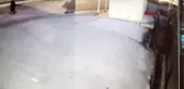 ÜNİVERSİTE ÖĞRENCİSİNİN ÖLÜMÜNE NEDEN OLAN EHLİYETSİZ ŞOFÖR HAKİM KARŞISINDA