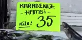 Hamsi sezonu kapanırken fiyatlar tavan yaptı