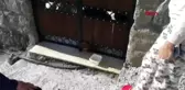 MUĞLA Kafası demir kapıya sıkışan yavru köpek kurtarıldı