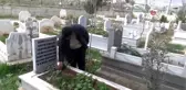 Sivil şehide büyük saygısızlık