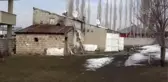 Küçük Hilal'in 12 yıllık 