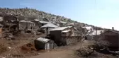 Elazığ'da kara sabanla sarp yamaçları süren köylüler organik üzüm yetiştiriyorlar