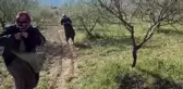 Fırtına, badem ağaçlarına zarar verdi