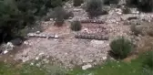 Gözünü kaybetmesinin acısını arılarının vızıltısıyla dindirdi - MUĞLA