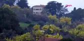 ADALAR HALKINDAN MİMOZA HIRSIZLIĞINA TEPKİ