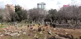 Alanya'nın gizemli mezarları