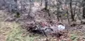 Terör operasyonunda 322 kilogram esrar ele geçirildi