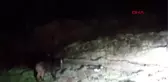 AÇ KALAN YABAN DOMUZU ARNAVUTKÖY'ÜN MERKEZİNE İNDİ