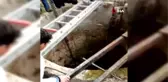 Su kuyusuna düşen yaşlı adam hayatını kaybetti