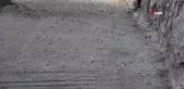Karabük'te çekirge istilası korkuttu