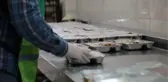 Koronavirüs tedbirleri